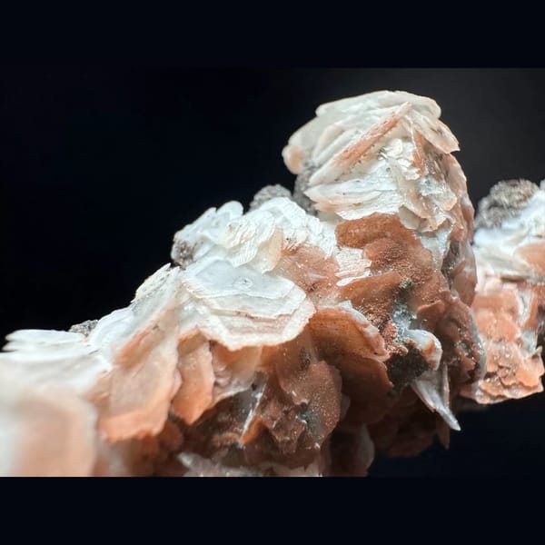 Coin calcite string with red petal calcite and hematite from Inner Mongolia — detail view