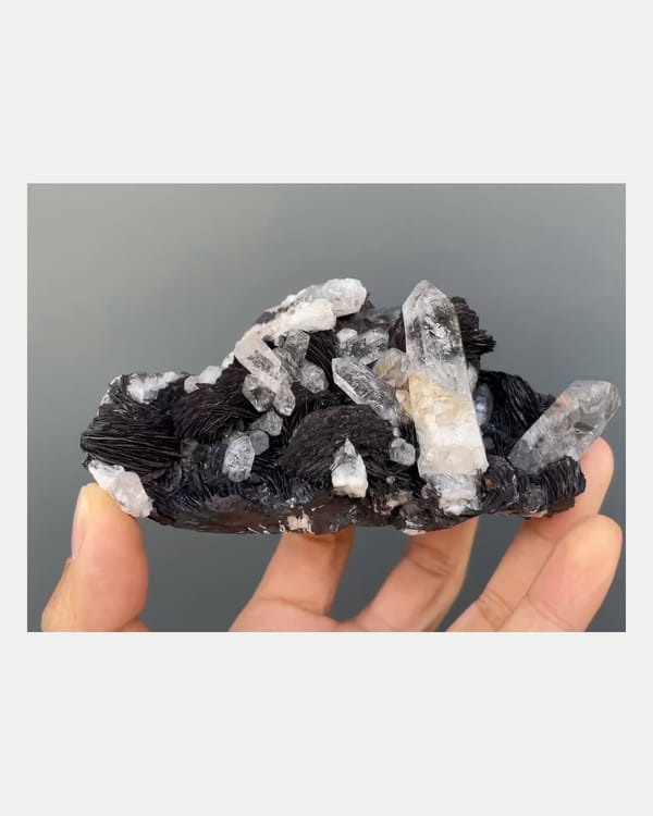 Complete reverse view of specular hematite with quartz