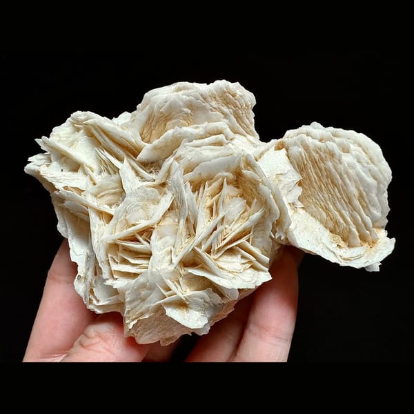 Petal calcite rosette cluster from Yaogangxian — complete view