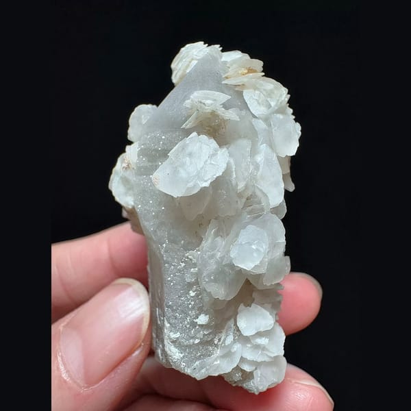 Sparkly quartz with two-tone petal calcite from Inner Mongolia — detail view