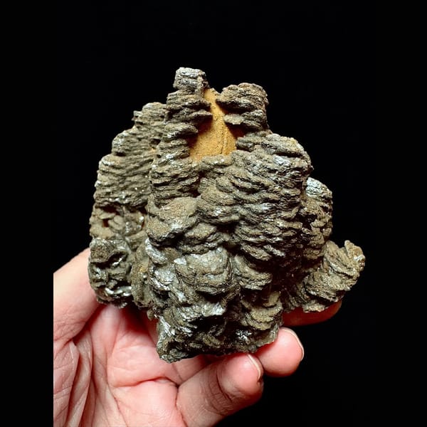 Dark brown layered calcite with quartz from Inner Mongolia — alternate view