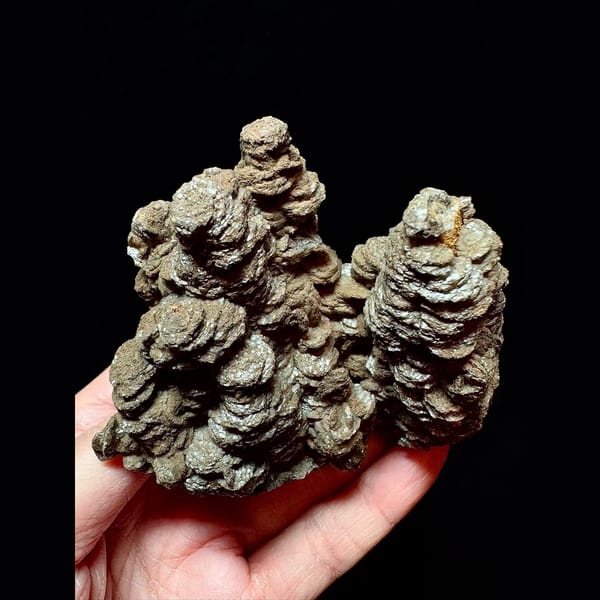 Dark brown layered calcite with quartz from Inner Mongolia — detail view