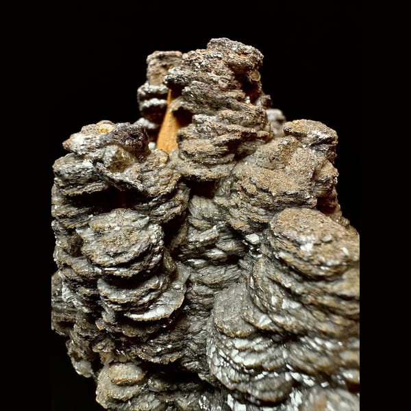 Dark brown layered calcite with quartz from Inner Mongolia — detail view