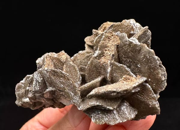 Black Petal Calcite on Green-Coated Quartz — Inner Mongolia — individual mineral specimen view 1
