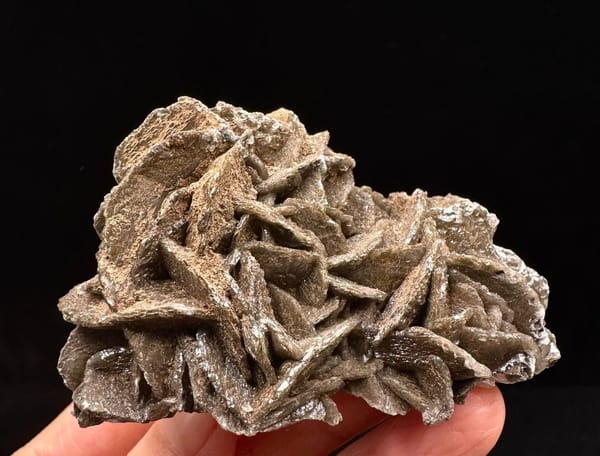 Black Petal Calcite on Green-Coated Quartz — Inner Mongolia — individual mineral specimen view 2