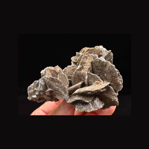 Black Petal Calcite on Green-Coated Quartz — Inner Mongolia — full specimen and base, front view
