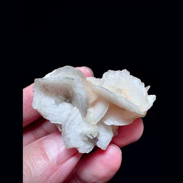 Pale yellow petal calcite floater from Inner Mongolia — complete view