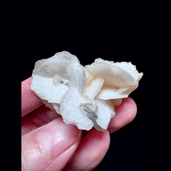 Pale yellow petal calcite floater from Inner Mongolia — alternate view