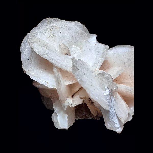 Pale yellow petal calcite floater from Inner Mongolia — detail view