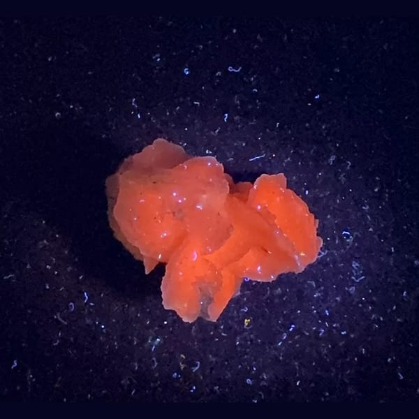 Pale yellow petal calcite floater from Inner Mongolia — detail view