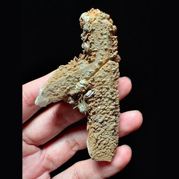 Mud-coated quartz floater with petal calcite from Inner Mongolia — alternate view