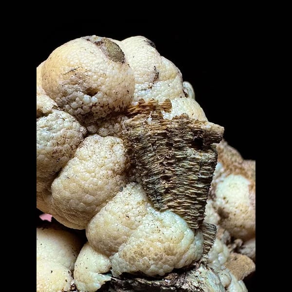 Calcite ball floater with sphalerite from Shijiangshan — detail view