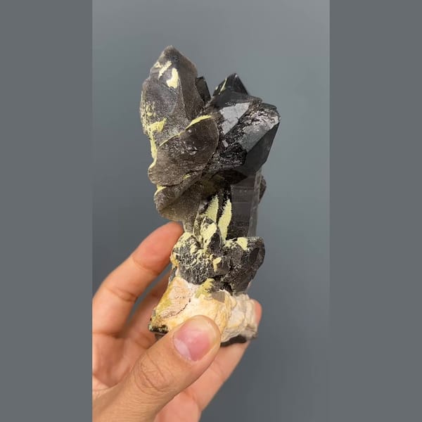 Tall near-black morion smoky quartz on cream feldspar from Wulian, Shandong — alternate view