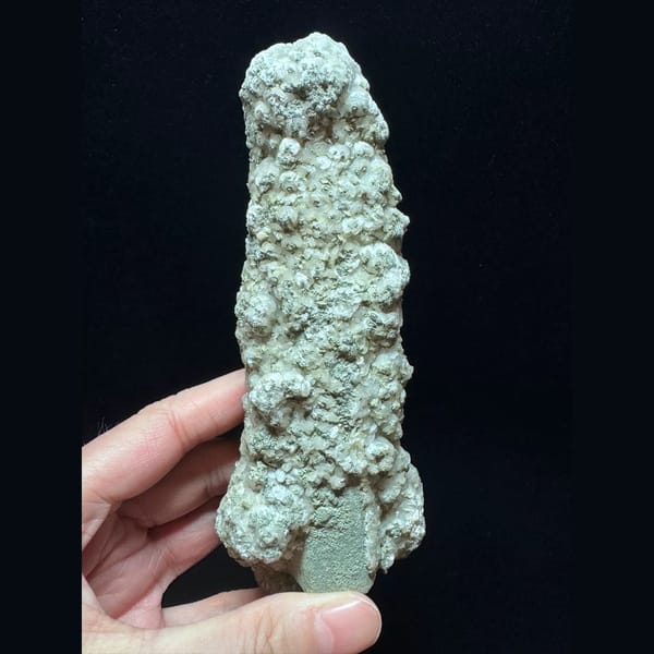 Green-coated quartz floater with petal calcite from Inner Mongolia — complete view