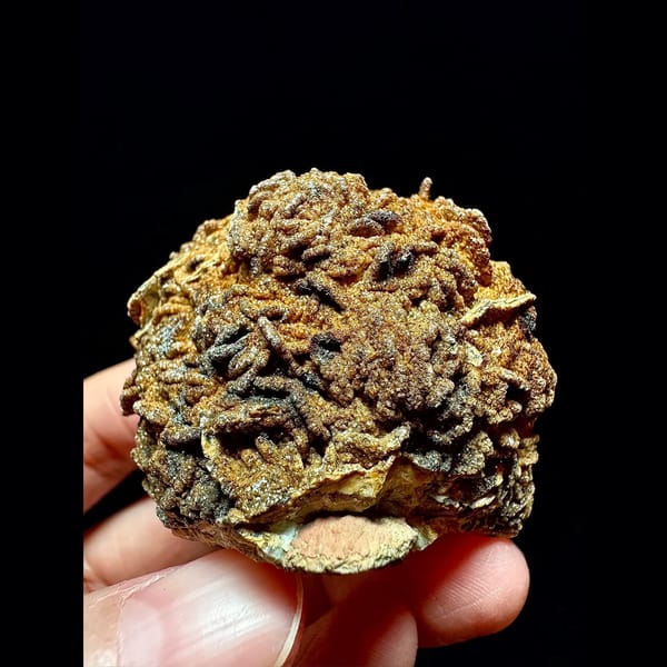 Sparkly brown petal calcite plate from Inner Mongolia — complete view