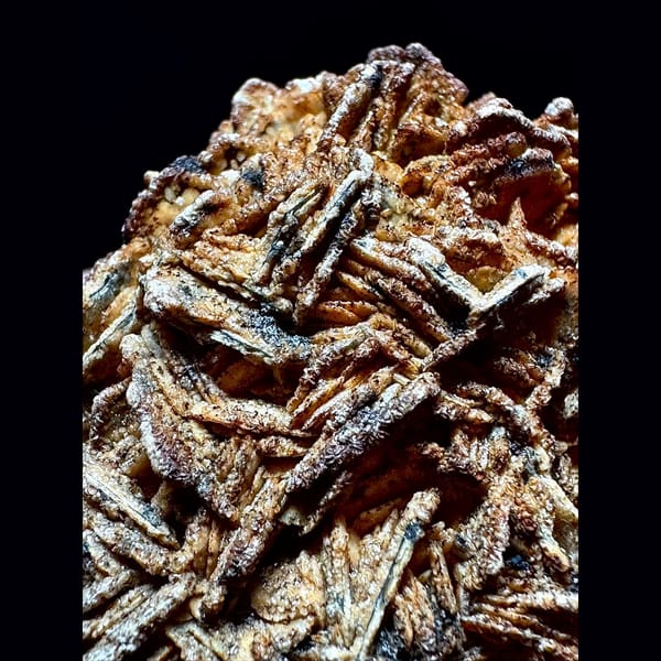 Sparkly brown petal calcite plate from Inner Mongolia — detail view