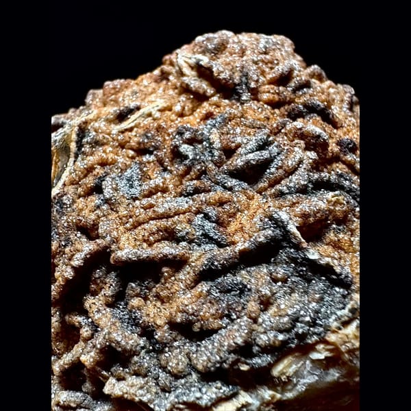 Sparkly brown petal calcite plate from Inner Mongolia — detail view