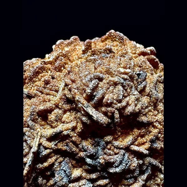 Sparkly brown petal calcite plate from Inner Mongolia — detail view