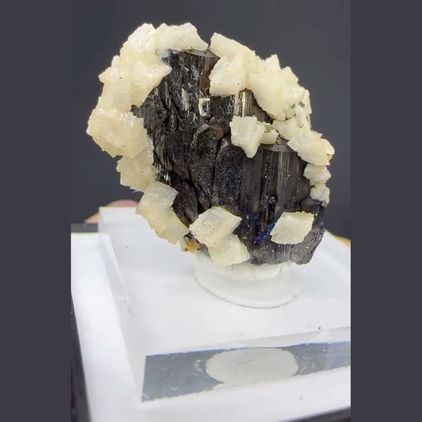 Wolframite with Dolomite and Calcite Yaogangxian 2.5 cm — alternate view