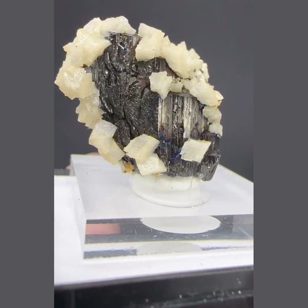 Wolframite with Dolomite and Calcite Yaogangxian 2.5 cm — alternate view