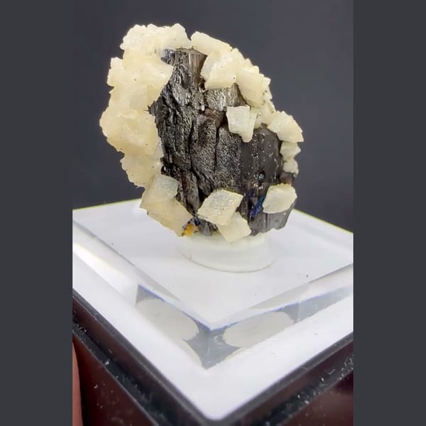 Wolframite with Dolomite and Calcite Yaogangxian 2.5 cm — detail view