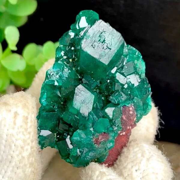 Vivid emerald green dioptase cluster — complete view