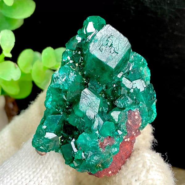 Vivid emerald green dioptase cluster — alternate view