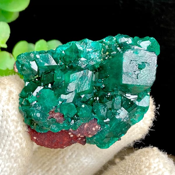 Vivid emerald green dioptase cluster — alternate view
