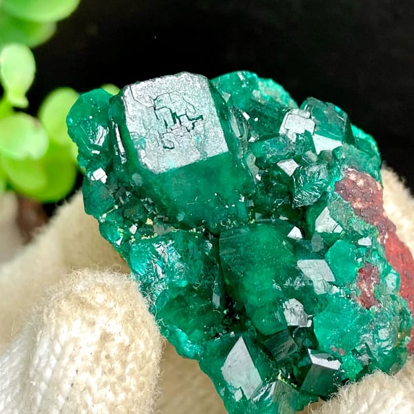 Vivid emerald green dioptase cluster — detail view