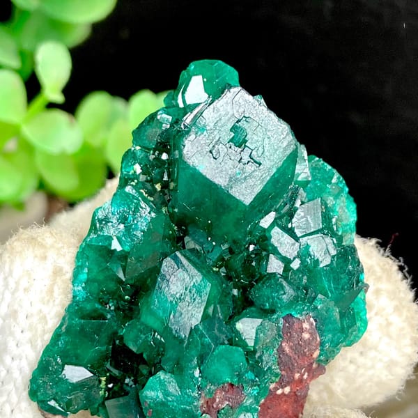 Vivid emerald green dioptase cluster — detail view