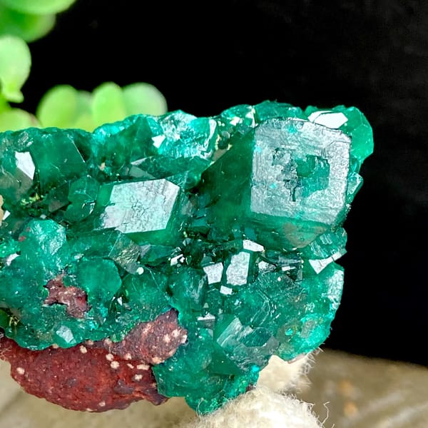 Vivid emerald green dioptase cluster — detail view