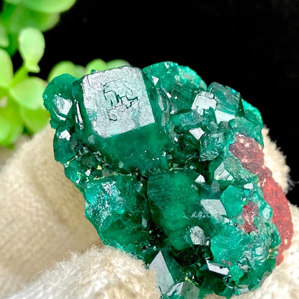 Vivid emerald green dioptase cluster — detail view