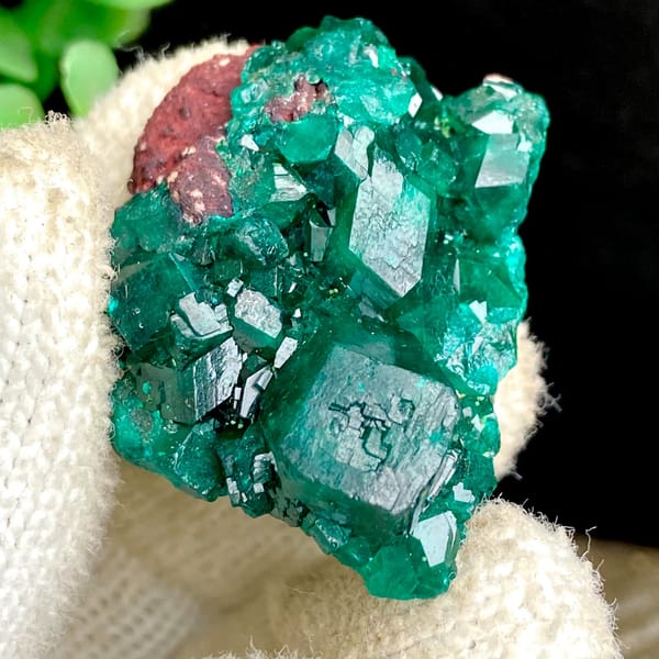 Vivid emerald green dioptase cluster — detail view