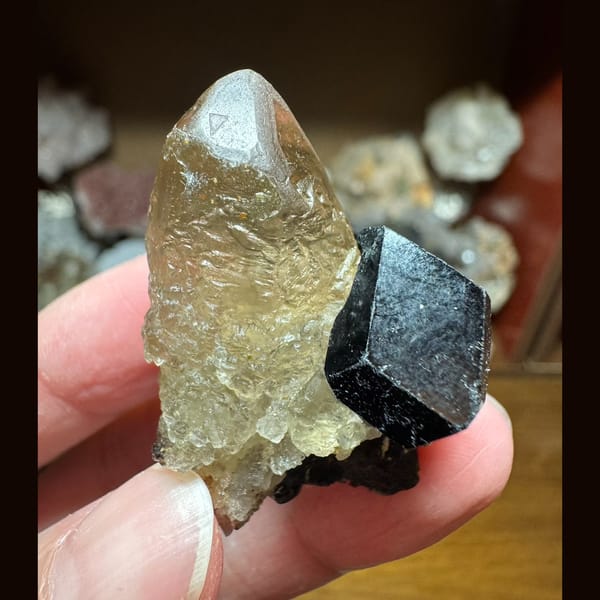 Etched quartz with black tourmaline from Namibia — complete view