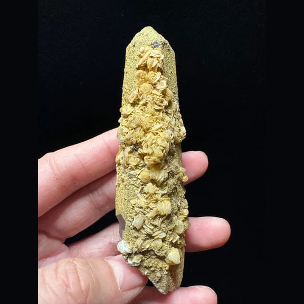 Quartz point with yellow petal calcite from Inner Mongolia — complete view