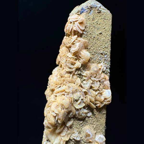 Quartz point with yellow petal calcite from Inner Mongolia — alternate view