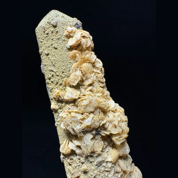 Quartz point with yellow petal calcite from Inner Mongolia — detail view