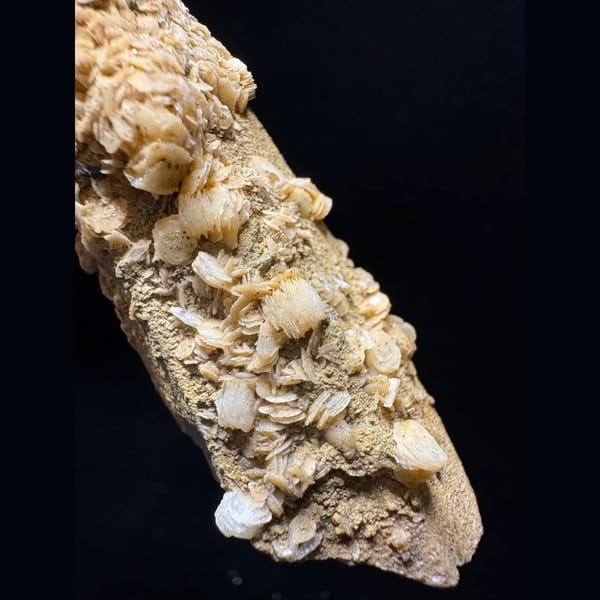 Quartz point with yellow petal calcite from Inner Mongolia — detail view
