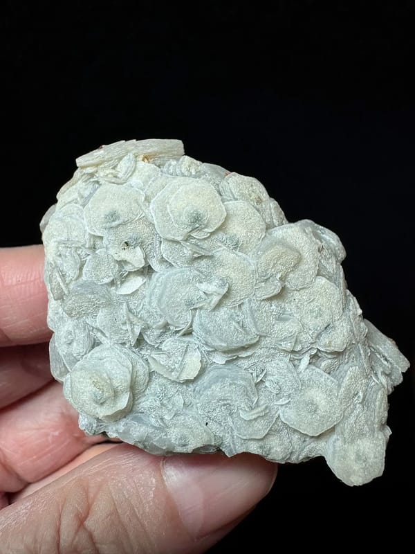 Coin Calcite Chain on Sparkling Quartz — Inner Mongolia — individual mineral specimen view 2