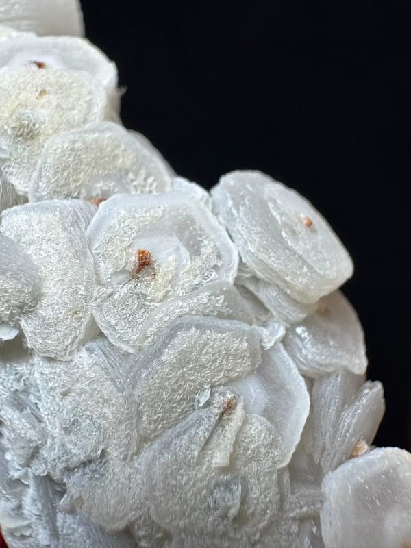 Coin Calcite Chain on Sparkling Quartz — Inner Mongolia — individual mineral specimen view 3