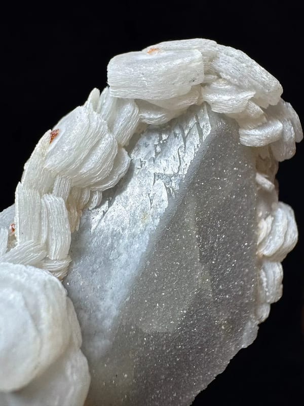 Coin Calcite Chain on Sparkling Quartz — Inner Mongolia — individual mineral specimen view 7