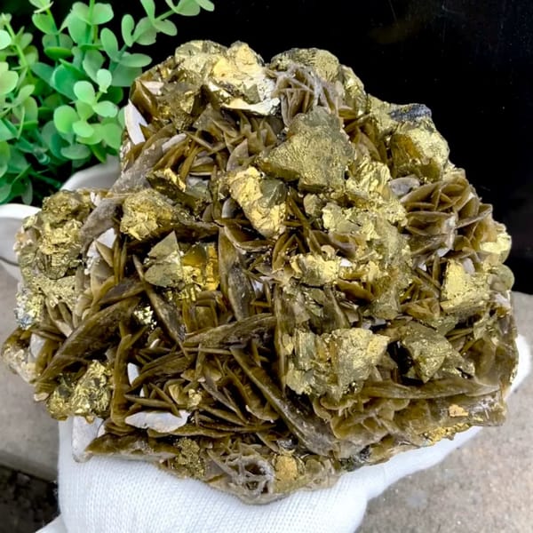 Large bladed golden siderite with chalcopyrite — complete view