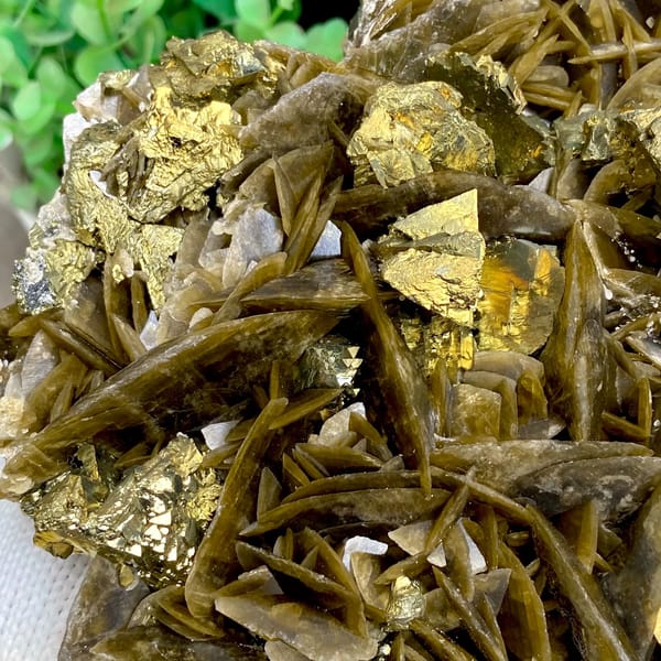 Large bladed golden siderite with chalcopyrite — alternate view