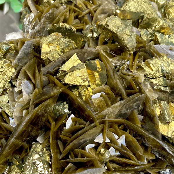 Large bladed golden siderite with chalcopyrite — detail view