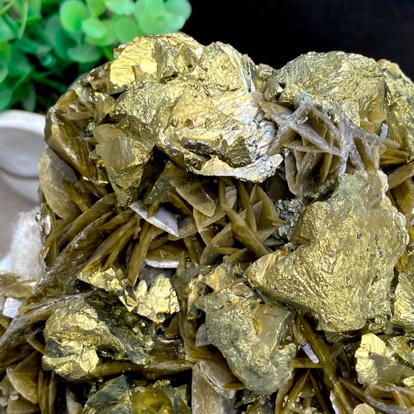 Large bladed golden siderite with chalcopyrite — detail view