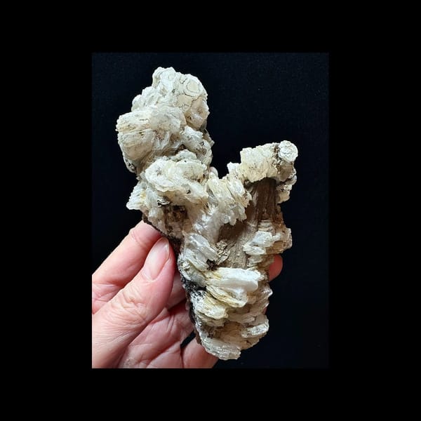 Green-Coated Quartz with Cream Petal Calcite — complete specimen view 1 of 3