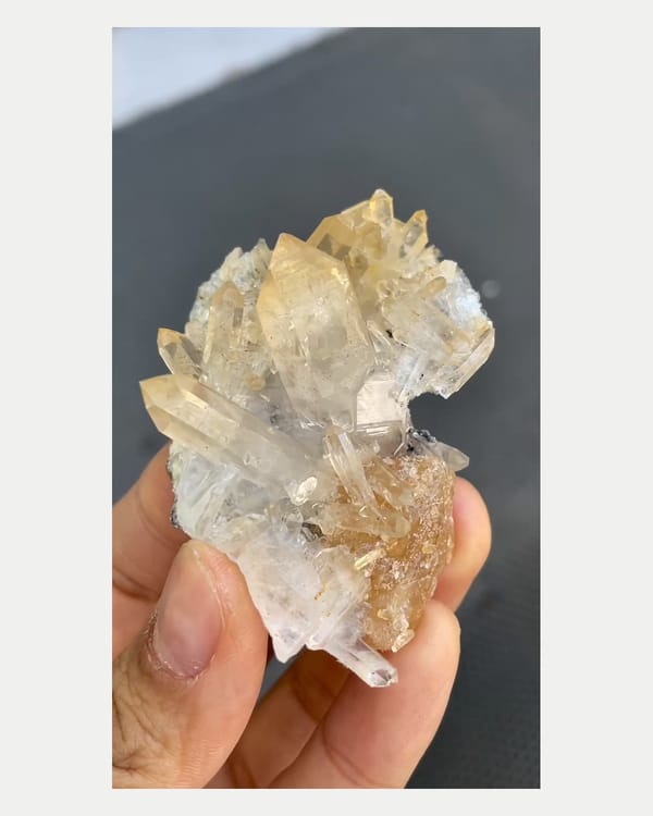 Complete front view of quartz with scheelite crystal