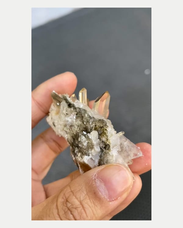 Complete reverse view of quartz with scheelite crystal