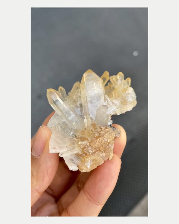 Complete right oblique view of quartz with scheelite crystal