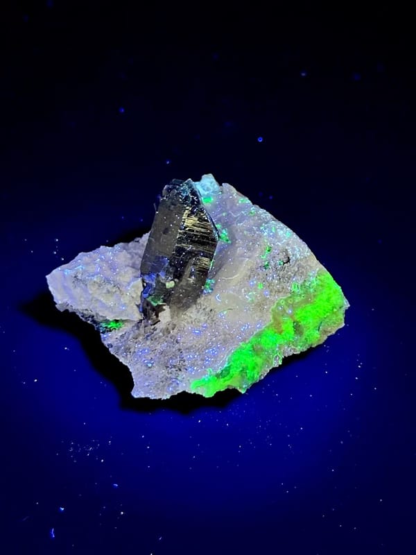 Complete front angle under special illumination showing the reported fluorescent response